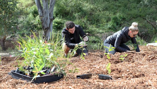 Centor staff give back each year by plants trees for every Integrated Door that is manufactured